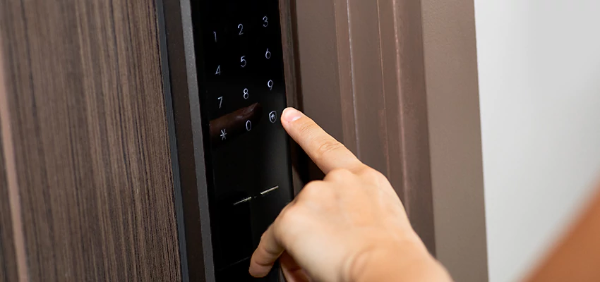 Smart Electric Locks Replacement Services in Delhi, CA